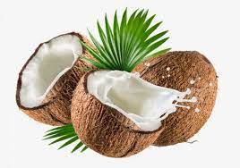 Coconut